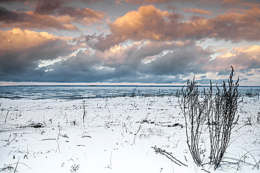 冬天,海边风景,干草,海湾,芬兰,俄罗斯,旧式,照片,滤镜效果