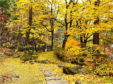 秋日树林,步道,山