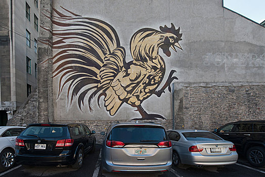 公鸡,涂鸦,蒙特利尔,安大略省,加拿大,北美