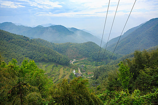 山,树林,雾气,云海,氤氲,绿色,树木,乡村