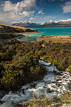 河流,进入,普卡基湖,库克山国家公园,坎特伯雷,新西兰