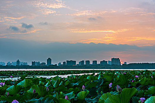 南京玄武湖夜景