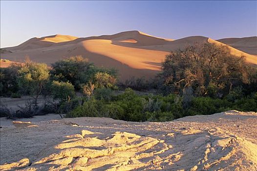 分开,沙丘,砾石,纳米布沙漠,纳米比诺克陆夫国家公园,纳米比亚
