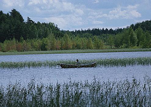 芬兰,男人,船,湿地,风景