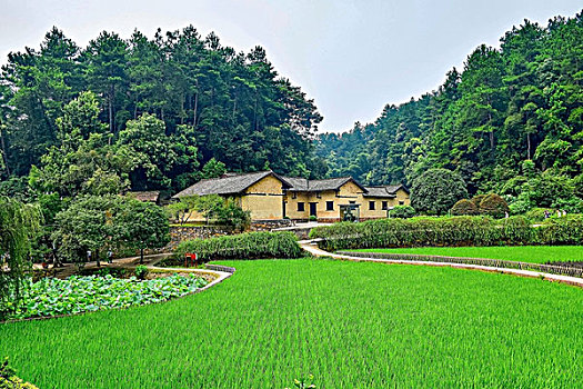 韶山毛主席故居