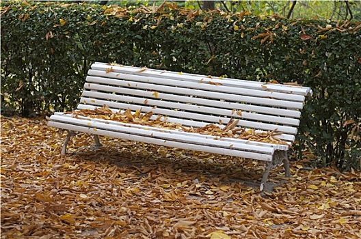 秋天,长椅