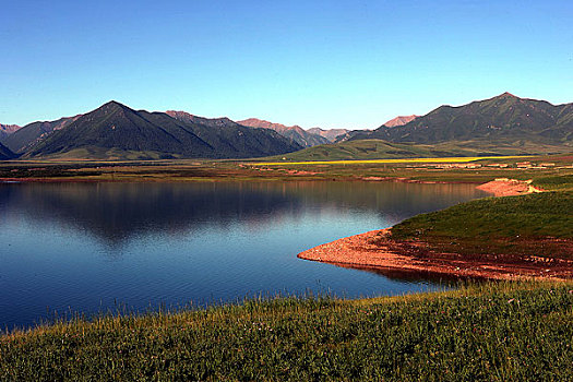 甘肃张掖山丹军马场夏季的风景