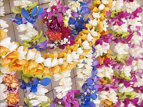 种类,夏威夷,花环,悬挂,鲜明,彩色,棚拍