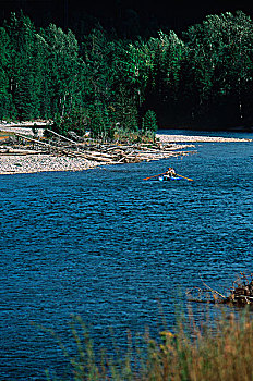 落基山脉,靠近,麋鹿,河,钓鱼,不列颠哥伦比亚省,加拿大