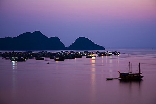 港口,岛屿,下龙湾,广宁省,省,越南