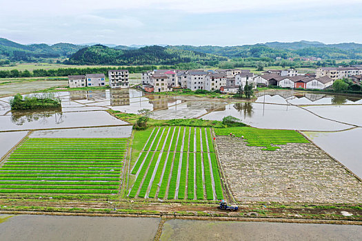 江西金溪,水田如镜景如画