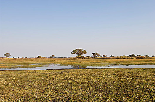 卡富埃国家公园,赞比亚,非洲