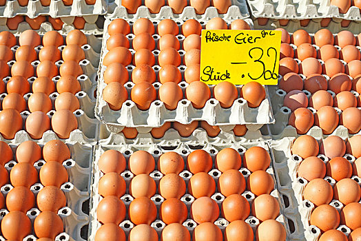 新鲜,褐色,蛋,鸡蛋盒,价签,市场货摊,德国,欧洲