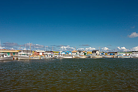 渔船,捆绑,水塘,码头,爱德华王子岛,加拿大