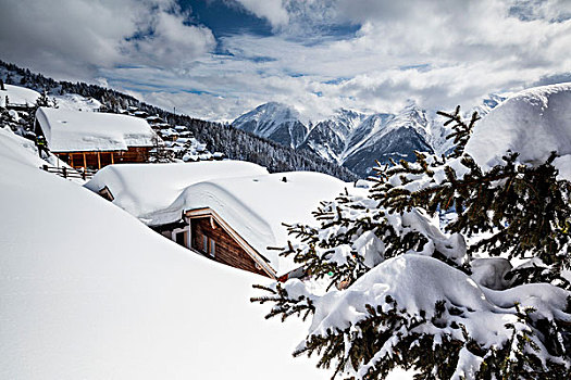 树,遮盖,雪,特色,山,小屋,贝特默阿尔卑,地区,瓦莱州,瑞士,欧洲