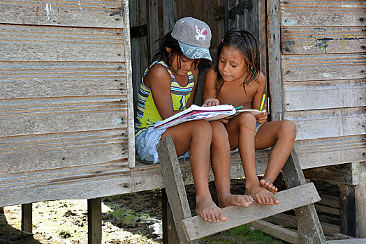 两个女孩,学习,乡村,坐,台阶,小屋,靠近,亚马逊,巴西,南美