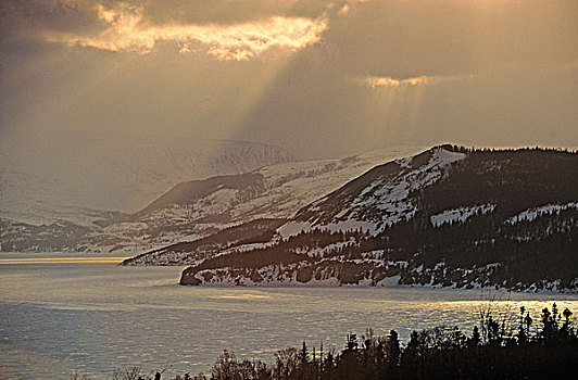 高原,山,格罗莫讷国家公园,纽芬兰,加拿大