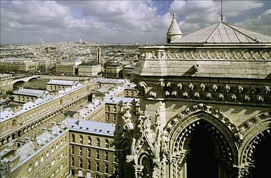 法国,巴黎,圣母大教堂,俯视