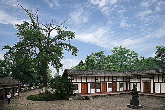 郭沫若抗战时期在重庆的旧居里发栽下的夫妻树