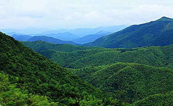 鄞州,横溪镇,茶园,茶山,绿色,生态,山谷