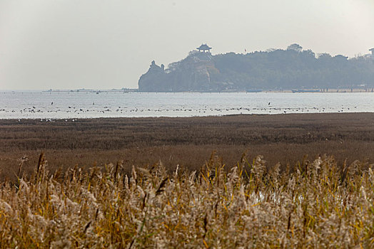 湿地,北戴河,秦皇岛,海滩,大潮坪,鸽子窝,落潮,涨潮,环保,保护