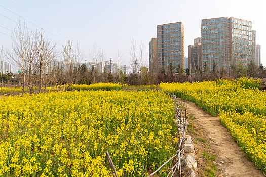 自然风景