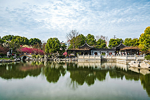 海宁梅园景区春景