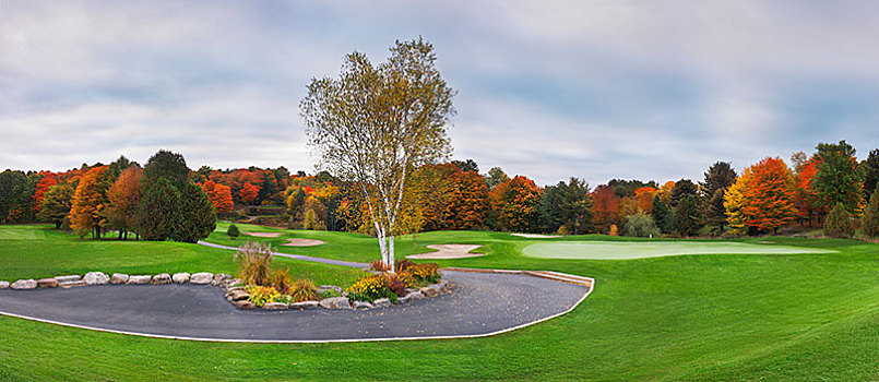 高尔夫球场,秋天,安大略省,省,加拿大,北美