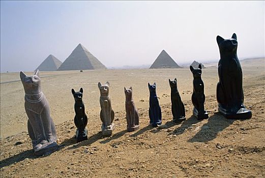 家猫,雕塑,排列,沙漠,埃及,金字塔,背景
