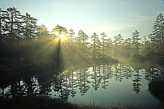 光柱,湿地,北海道