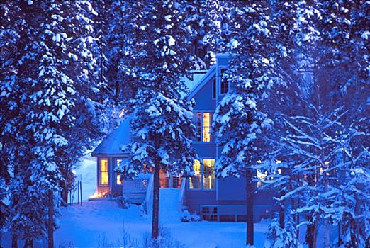 房子,木头,冬天,景色