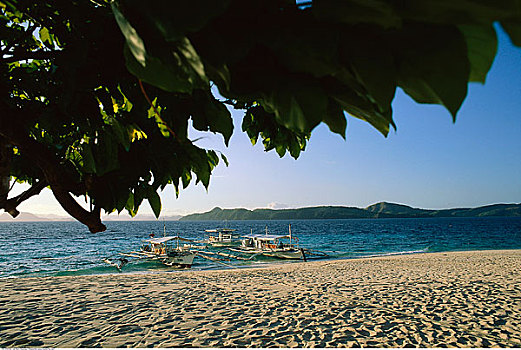 船,海滩,巴拉望岛,菲律宾