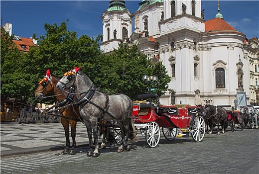 马车,就绪,旅游,布拉格,捷克共和国