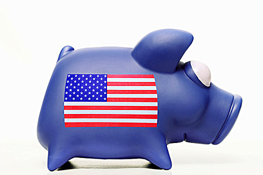小猪,旗帜,象征,图像,国家,债务,美国