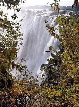 壮观,维多利亚瀑布,赞比亚,瀑布,英里,宽,一个,自然,强势,赞比西河,俯视,脚,叫,云,飞溅