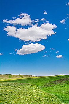 新疆草原蓝天白云