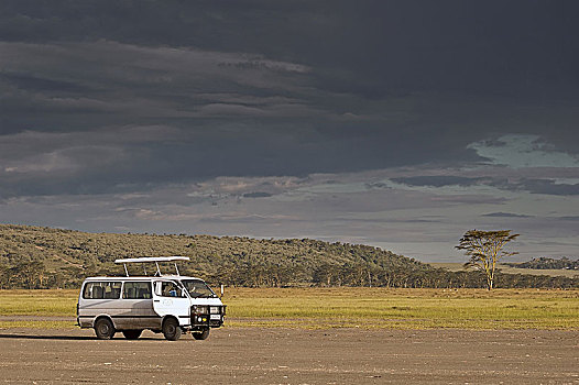 旅游,交通工具,途中,纳库鲁湖国家公园,肯尼亚
