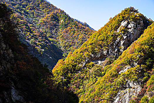 秦岭秋色