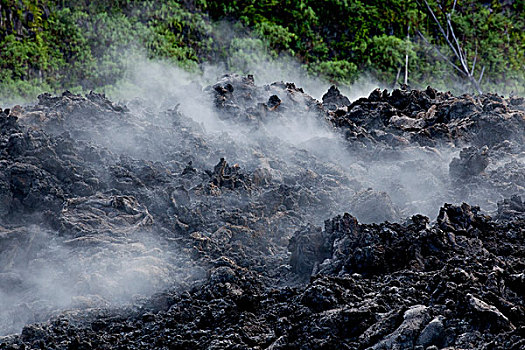 安静,温暖,火山岩,喷发,火山,2007年,蒸汽,雨,蔷薇科,留尼汪岛,印度洋