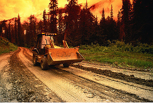 反铲挖土机,不列颠哥伦比亚省,加拿大