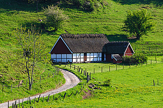 瑞典,自然保护区,传统,农舍