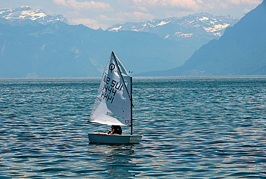 小艇,乐观,航行,日内瓦湖,靠近,沃州,阿尔卑斯山,背影,瑞士,欧洲