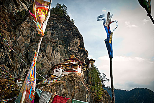 虎,鸟窝,寺院,织布机,高处,不丹