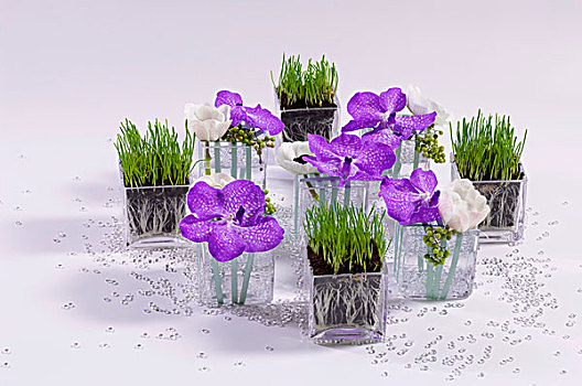 桌饰,紫色,白花,草