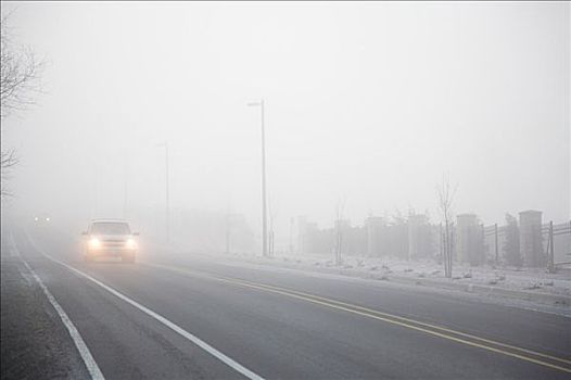 雾,道路