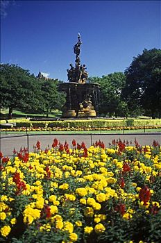 喷泉,王子,街道,花园,爱丁堡,苏格兰