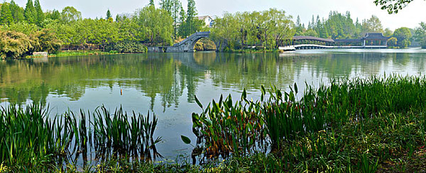 西湖浴鹄湾