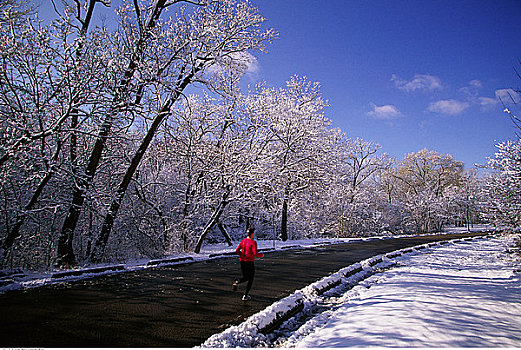 人,慢跑,途中,冬天,多伦多,安大略省,加拿大