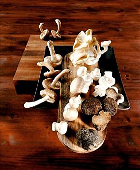 香菇,牡蛎,草菇,块菌
