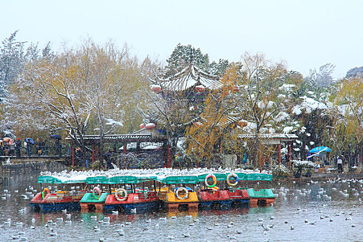 昆明翠湖公园雪景